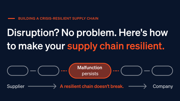 Visualization of a Resilient Supply Chain Network