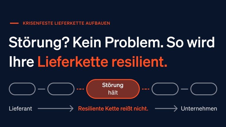 Visualisierung eines resilienten Lieferketten-Netzwerks