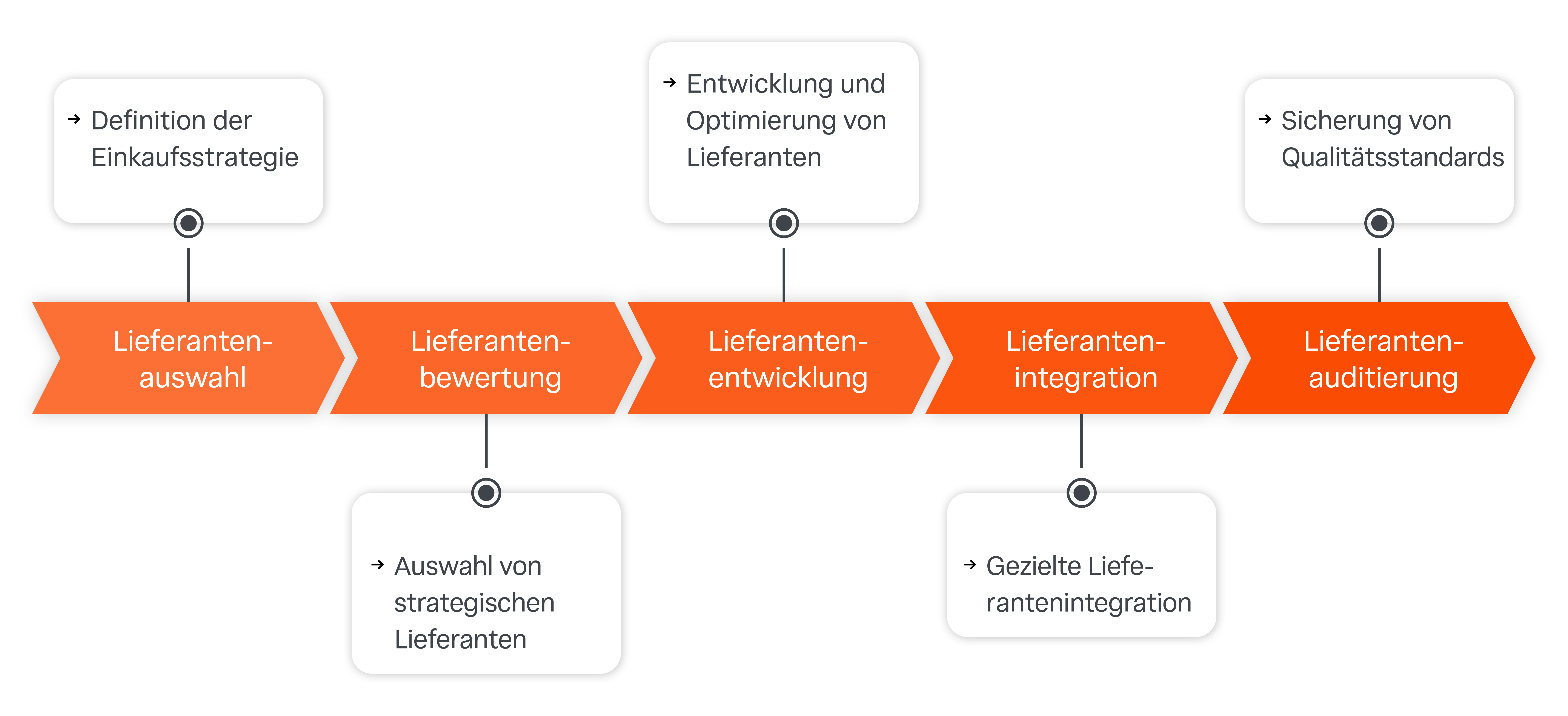 Infografik, die den Prozess des Lieferantenmanagements in 5 Phasen darstellt.